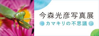 ノエビアホールディングス
